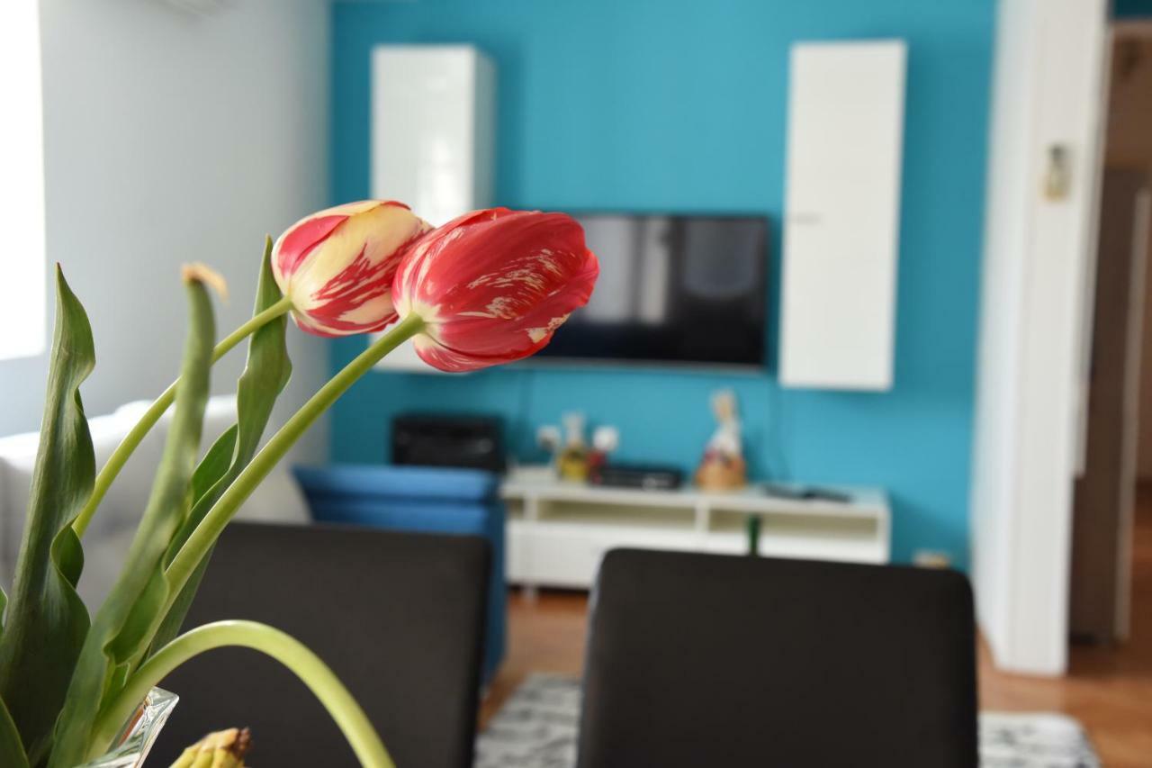 Kiara Apartments סקופיה מראה חיצוני תמונה
